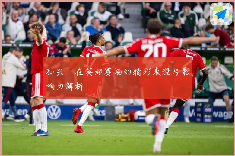 孙兴慜在英超赛场的精彩表现与影响力解析