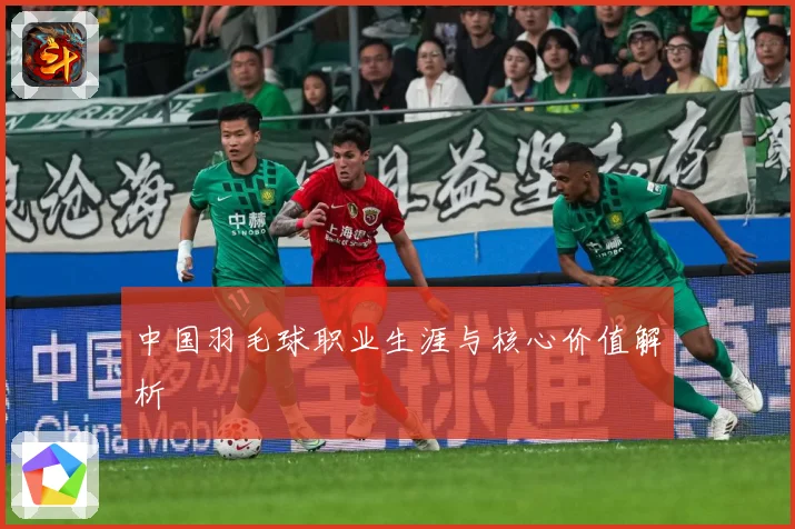 中国羽毛球职业生涯与核心价值解析