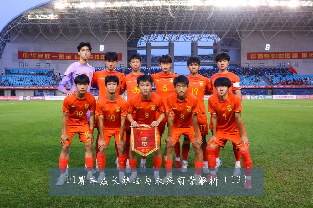 F1赛车成长轨迹与未来前景解析（13）